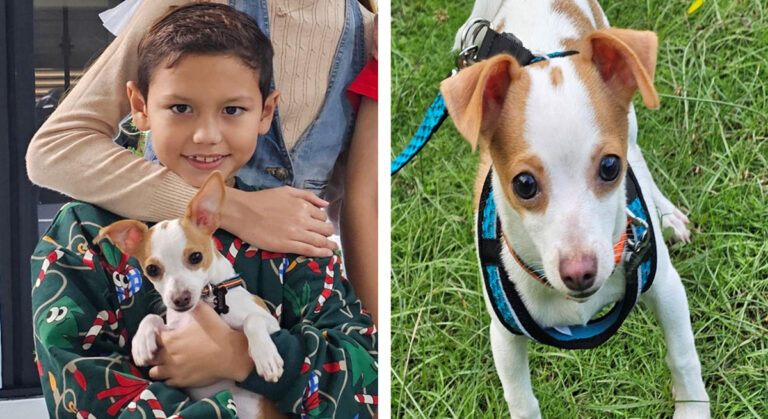  Primaria IT Xcaret: Inspira poetas en Playa del Carmen